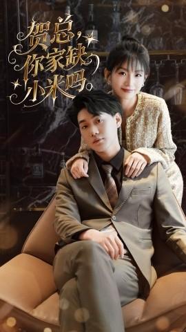 贺总你家缺小米吗 第31-60集完结(大结局)