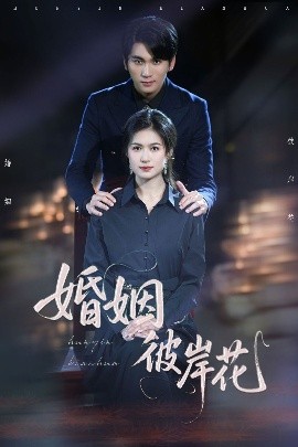 婚姻彼岸花 全集(大结局)