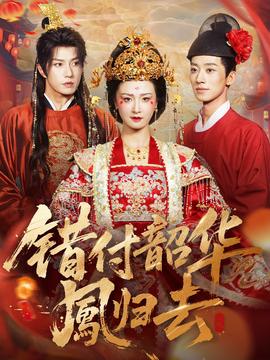 错付韶华凤归去(全集)