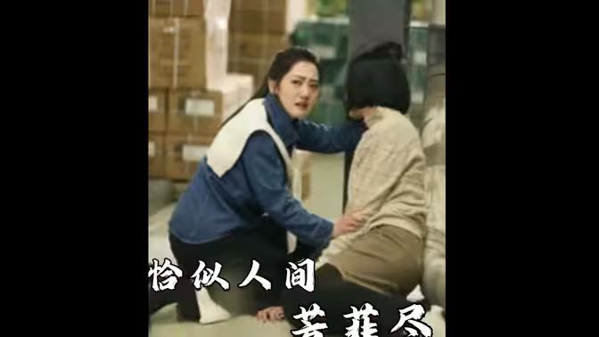 恰似人间芳菲尽 全集(大结局)